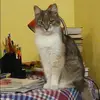 Отзыв от Кристина Дьякова